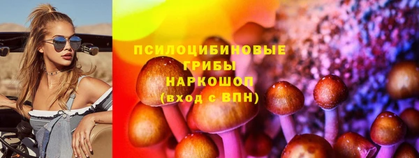 таблы Краснослободск