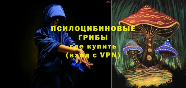 таблы Краснослободск