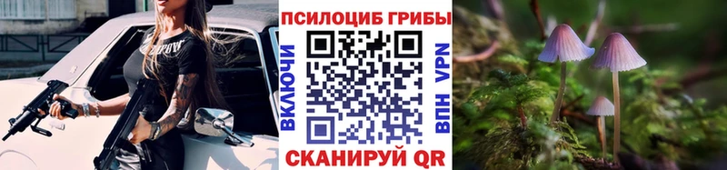 Галлюциногенные грибы Psilocybe Лесосибирск