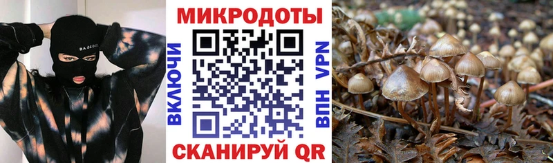 Купить  Лесосибирск  Псилоцибиновые грибы мухоморы 